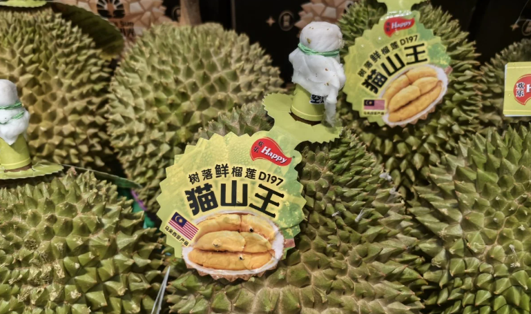 Đối thủ sầu riêng của Thái Lan, Việt Nam xuất khẩu tăng vọt 256%: Sắp thu về hơn 350 triệu USD, Trung Quốc, Singapore đều cực ưa chuộng - Ảnh 1