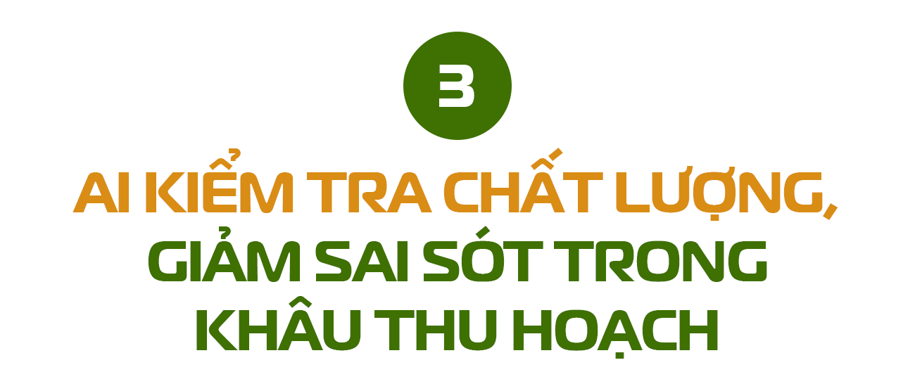Công nghệ cao vào cuộc - Đây là 'tuyệt chiêu' giúp Thái Lan chiếm trọn 60% thị phần sầu riêng tại Trung Quốc, dự báo bội thu đơn hàng năm 2025 - Ảnh 5