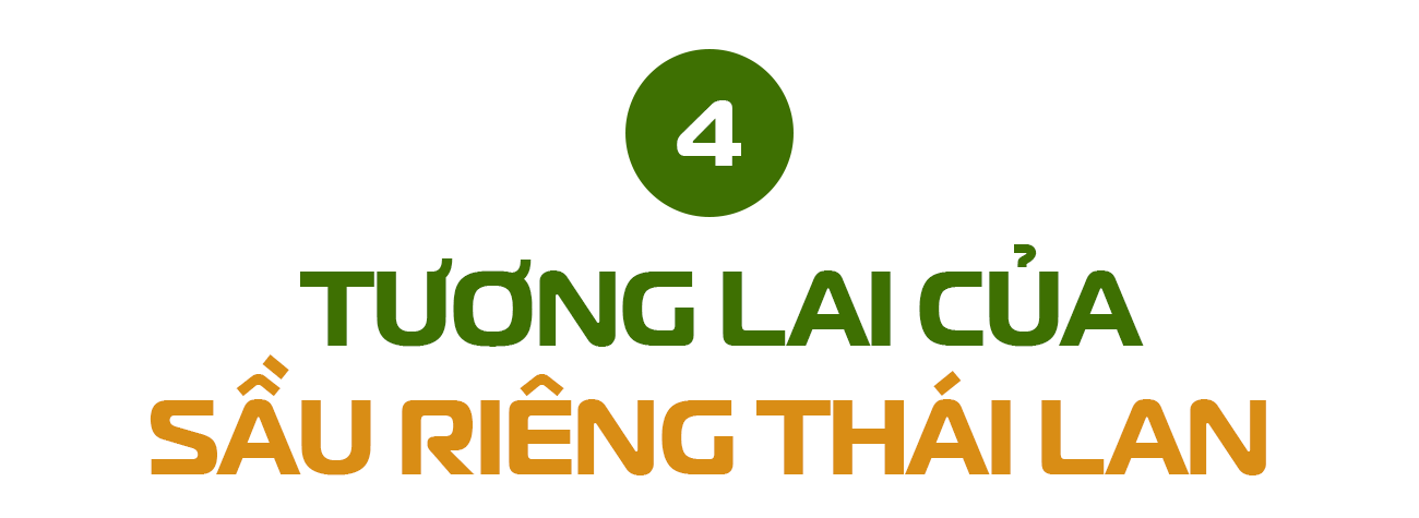 Công nghệ cao vào cuộc - Đây là 'tuyệt chiêu' giúp Thái Lan chiếm trọn 60% thị phần sầu riêng tại Trung Quốc, dự báo bội thu đơn hàng năm 2025 - Ảnh 7