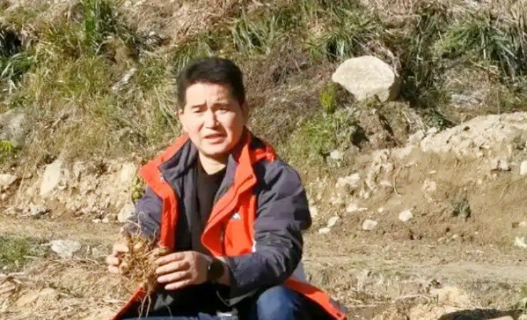 Tìm "mỏ vàng” trên cây thuốc có từ 2.000 năm trước, kiếm tiền tỷ/năm - Ảnh 2