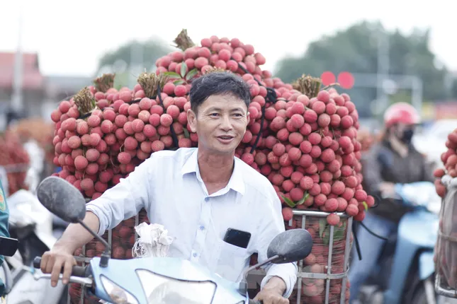 Vải thiều Bắc Ninh vào khu công nghiệp, doanh nghiệp FDI đăng ký mua tới tấp - Ảnh 1