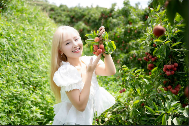 54 tấn vải Lục Ngạn bán hết veo sau phiên live 6 tiếng, PCT Bắc Giang nêu rõ 3 từ "đạt chuẩn sang Mỹ" - Ảnh 4