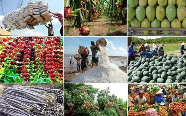 Xuất khẩu nông, lâm, thuỷ sản 6 tháng tăng 14% - Ảnh 1