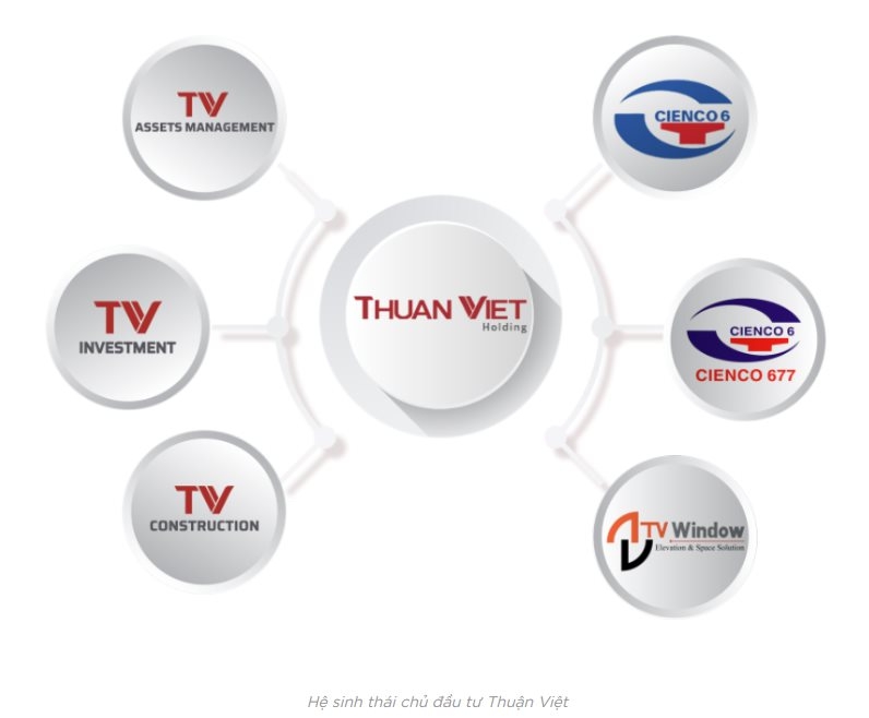 Lai lịch đại gia bất động sản nợ thuế hơn 3.200 tỷ đồng, chiếm gần 70% tổng nợ thuế của Tp.HCM - Ảnh 2