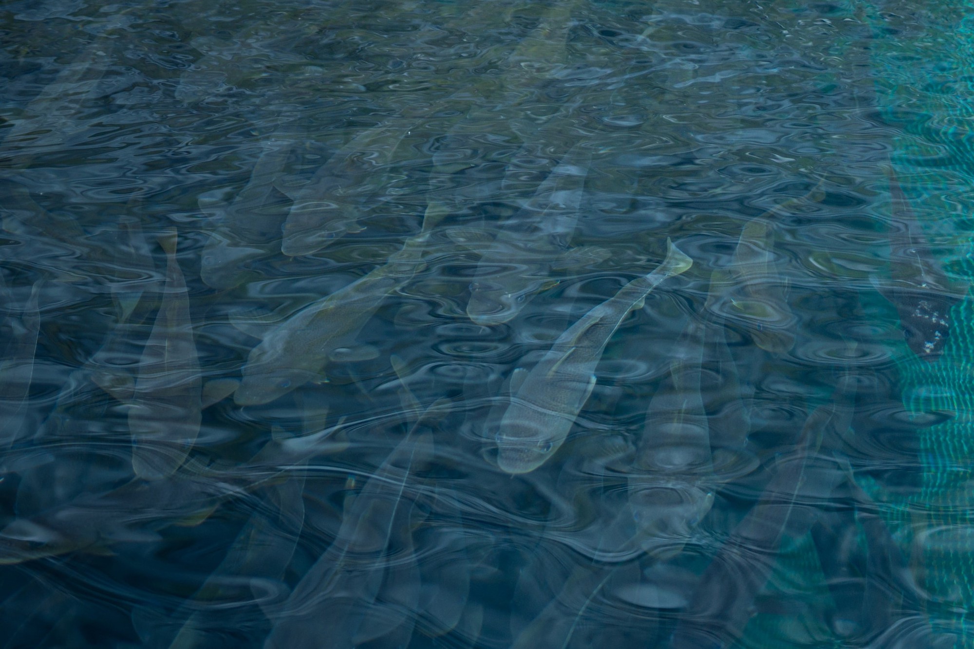 Phát hiện vùng đất la liệt kho báu, trữ lượng đất hiếm thứ 8 hành tinh, hứa hẹn khai thác 1.000 năm: Mỹ thèm khát nhưng chỉ có thể đứng nhìn? - Ảnh 9