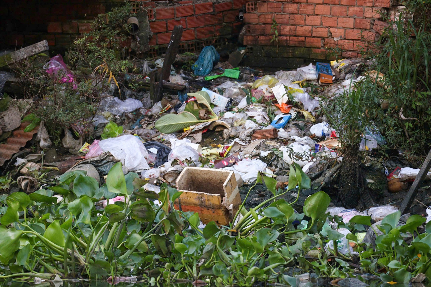 Cận cảnh con rạch ô nhiễm nặng ở TPHCM được đầu tư hơn 8.500 tỷ đồng để 'hồi sinh' - Ảnh 6