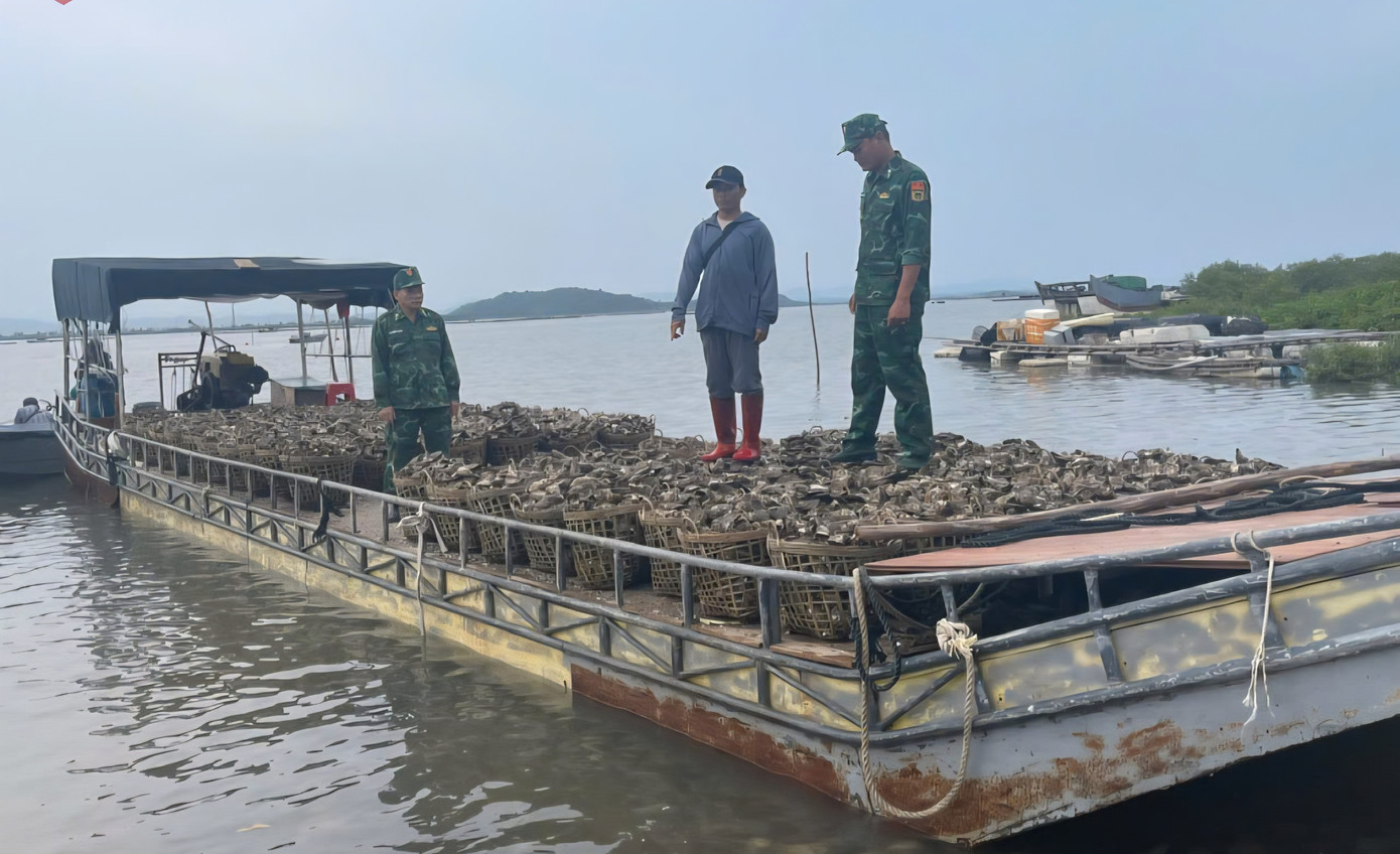 Thủ phủ hàu Vân Đồn điêu đứng, hàng Trung Quốc giá rẻ tràn lan - Ảnh 4