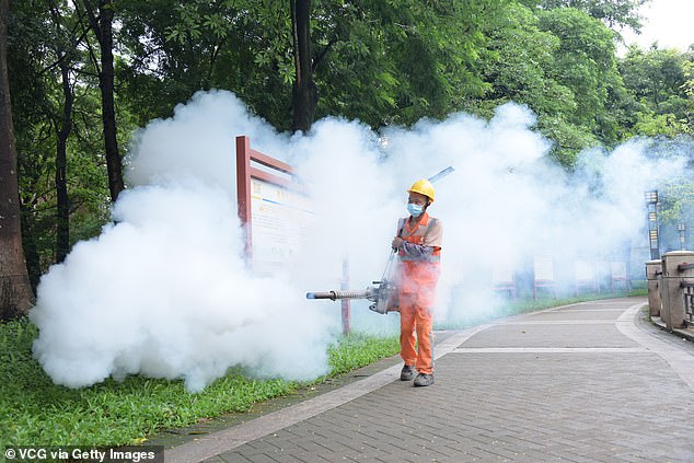 Dịch Chikungunya lan rộng: Hồng Kông (Trung Quốc) ghi nhận thêm ca mới, tất cả đều có chung một điểm - Ảnh 2