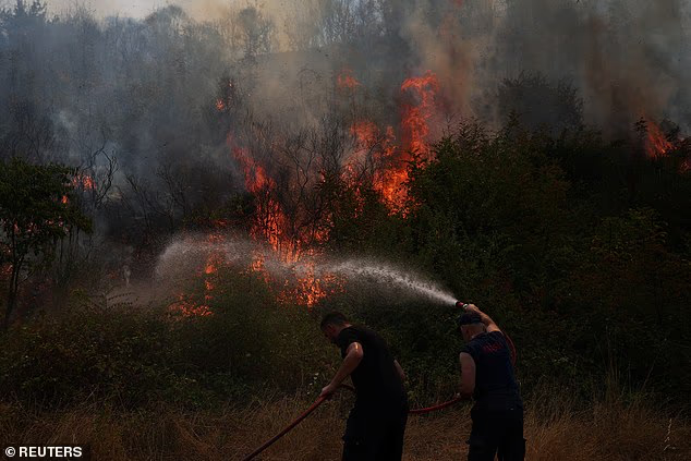 Châu Âu đang đỏ lửa như địa ngục: Người tử vong vì say nắng, nhiệt độ cao kỷ lục, cháy rừng khắp nơi và hàng ngàn người phải sơ tán - Ảnh 4