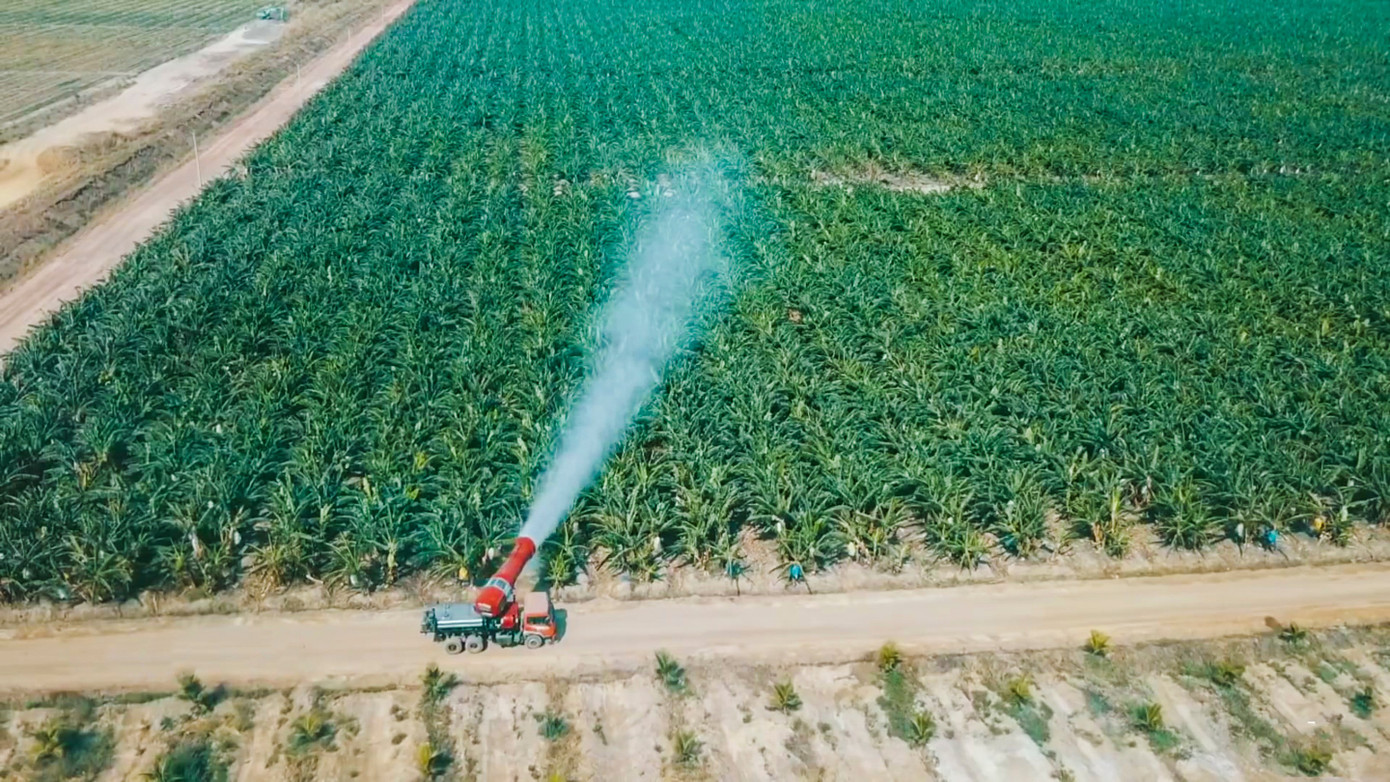 Tình cảnh 2 doanh nghiệp mang 'họ' Hoàng Anh Gia Lai - Ảnh 3