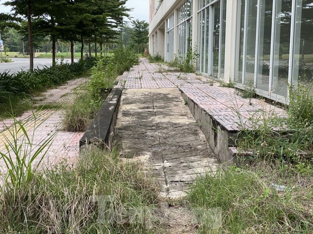 Tận thấy gần 4.000 căn hộ tái định cư ở Thủ Thiêm sắp được đưa ra đấu giá - Ảnh 14