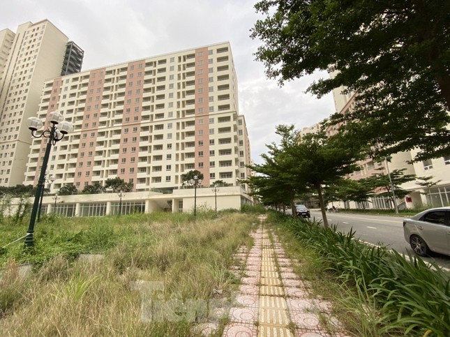 Tận thấy gần 4.000 căn hộ tái định cư ở Thủ Thiêm sắp được đưa ra đấu giá - Ảnh 13