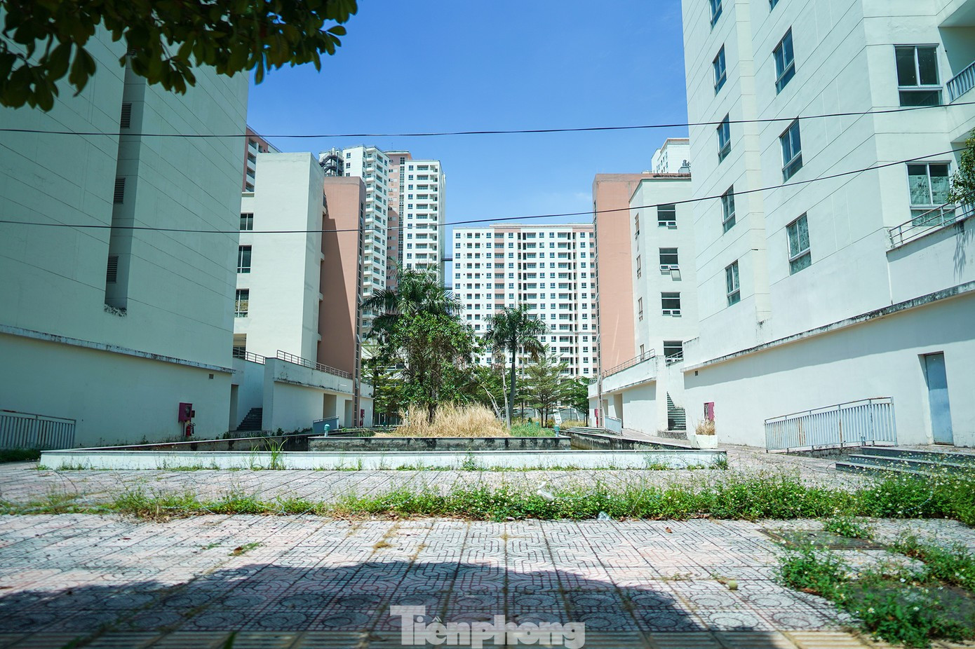 Tận thấy gần 4.000 căn hộ tái định cư ở Thủ Thiêm sắp được đưa ra đấu giá - Ảnh 12