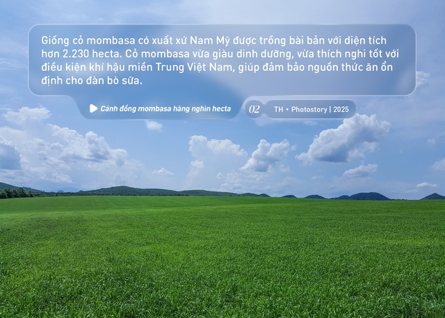 Bức tranh thiên nhiên ngút tầm mắt chỉ có ở nơi sản xuất sữa tươi sạch TH true MILK - Ảnh 2