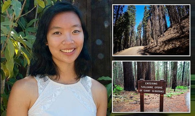 Công ty nhà người ta: Nhân viên mất vì bị cây rơi trúng, gia đình vẫn nhận lương trong 10 năm, con cái được phát 25 triệu đồng/tháng cho đến năm 19 tuổi - Ảnh 2