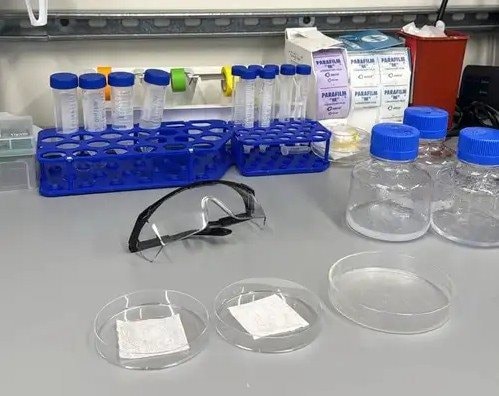 Thanh niên 21 tuổi tự rạch đùi để gọi vốn thành công 4,3 triệu USD, tạo nên một startup từ máu theo đúng nghĩa đen - Ảnh 2