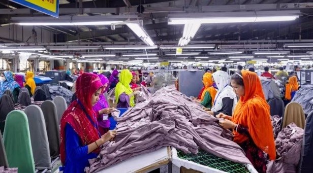 4 triệu lao động ngành may mặc của một nền kinh tế nổi tiếng gia công dệt may đối mặt nguy cơ thất nghiệp - Ảnh 5