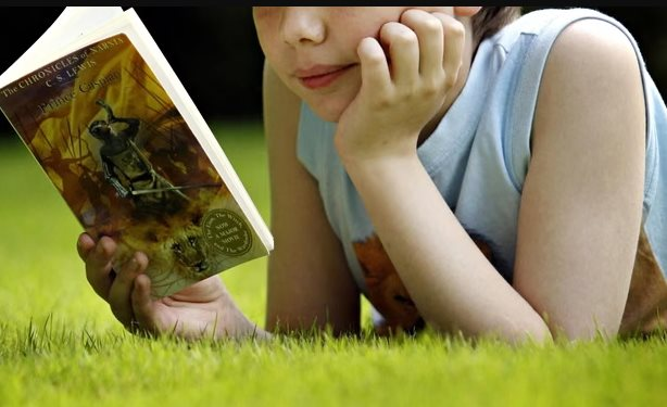 Đan Mạch miễn thuế sách vì 1/4 học sinh 15 tuổi ‘yếu’ khả năng đọc hiểu văn bản đơn giản, giới trẻ ngày này chỉ thích lướt Tiktok, xem livestream - Ảnh 2