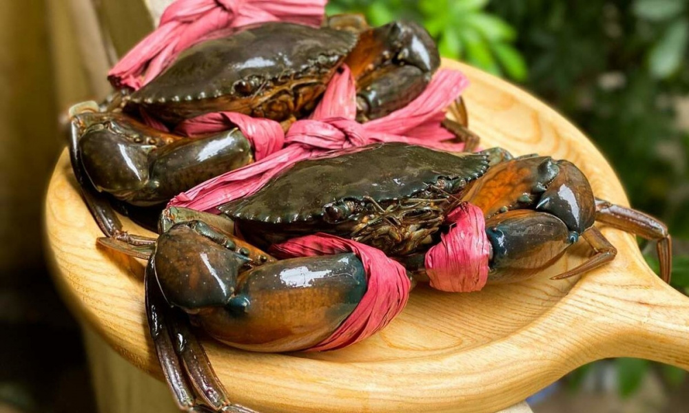 Mặt hàng Việt Nam lập đỉnh 10 năm, thị trưởng tỷ dân mua mạnh: Cơ hội vàng vươn mình trên bản đồ thế giới - Ảnh 1