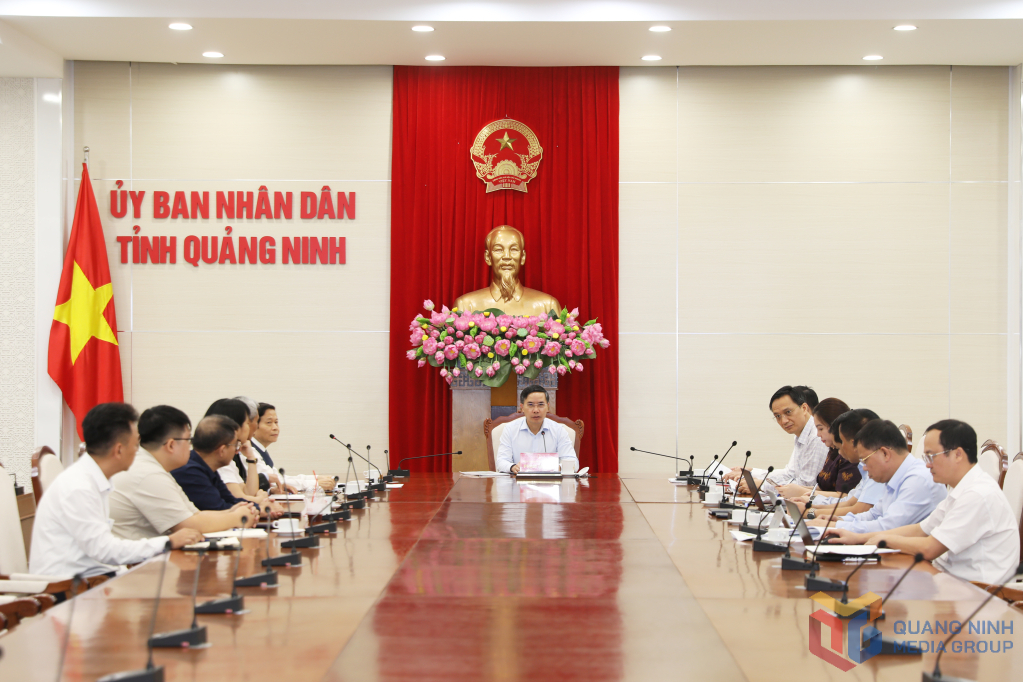 Nhà sáng lập xúc xích Đức Việt muốn làm tổ hợp năng lượng, nuôi bò 5 tỷ USD ở Quảng Ninh - Ảnh 1