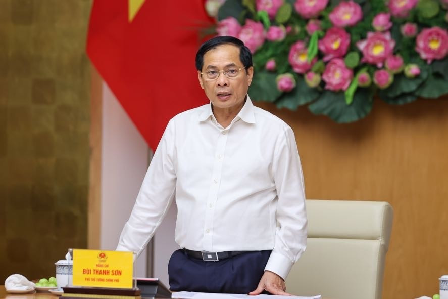 Thủ tướng chỉ đạo khẩn trương trình Quốc hội cơ chế đặc biệt hội nhập quốc tế - Ảnh 2