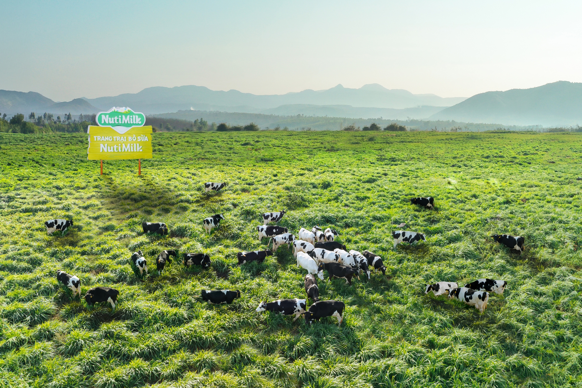 Kỳ vọng bứt phá cho nông nghiệp Gia Lai từ khoản đầu tư lớn của những doanh nghiệp tiên phong - Ảnh 1