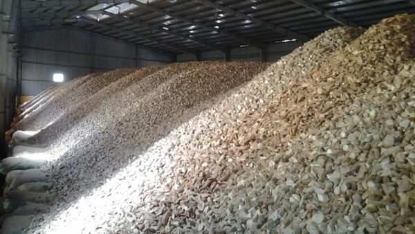 'Vựa lúa dưới lòng đất' của Việt Nam được Malaysia đổ tiền thu mua hàng nghìn tấn: xuất khẩu tăng hơn 500%, nước ta có sản lượng 10 triệu tấn/năm - Ảnh 1