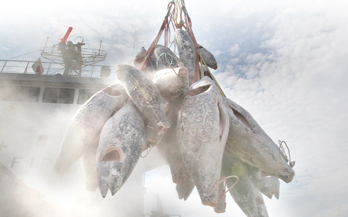 Một mặt hàng của Việt Nam được châu Âu ngày càng ưa chuộng: Thu về hơn nửa tỷ USD, nước ta đứng Top 5 'ông trùm' của thế giới - Ảnh 1