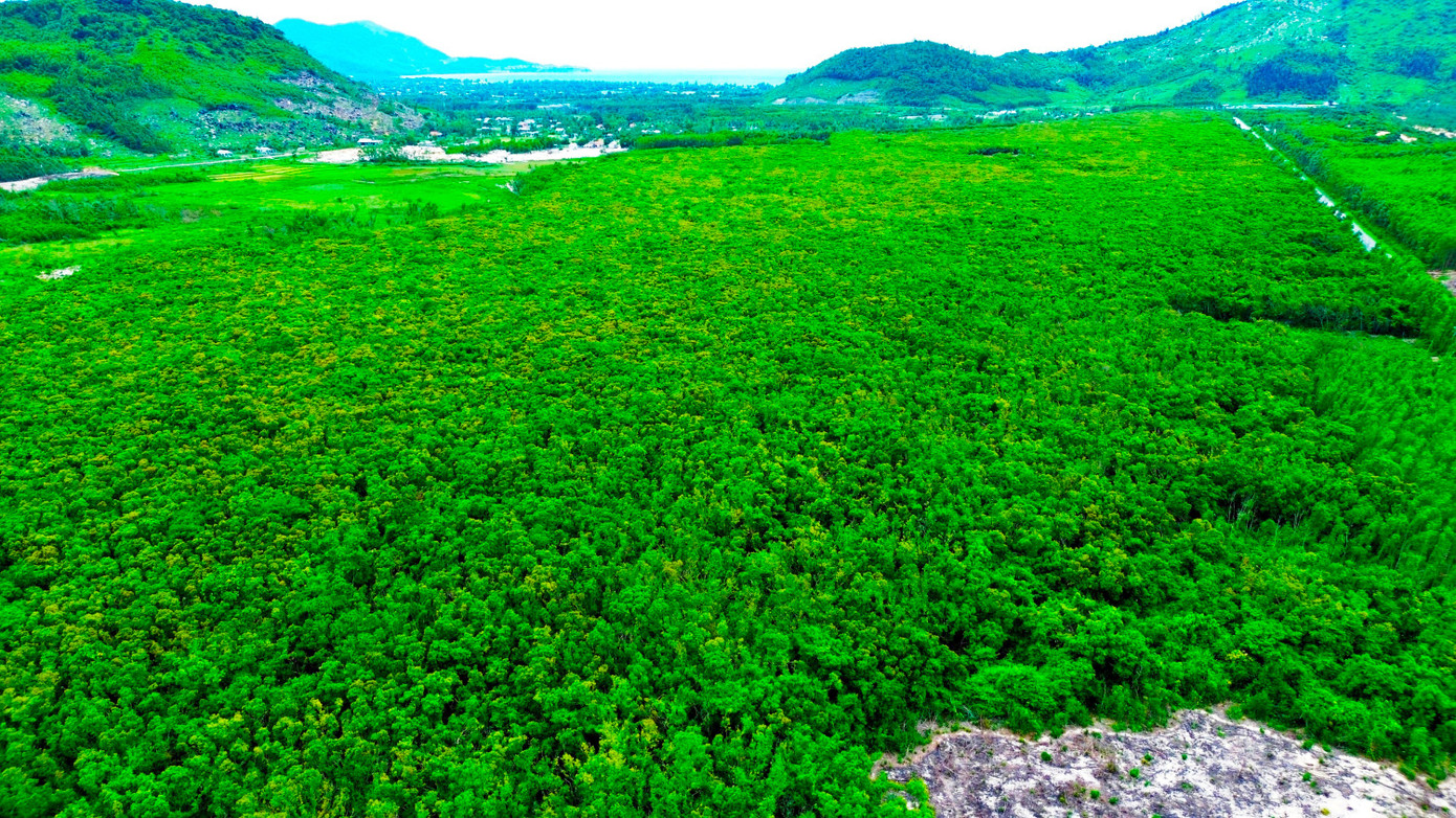 Huế sẽ có tuyến đường tốc độ cao La Sơn - Chân Mây - Ảnh 9