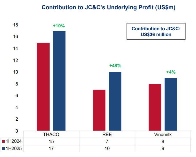 Tập đoàn chi hàng tỷ USD vào Thaco, Vinamilk, REE báo lãi ròng nửa đầu năm 2025 giảm 23%: Thị trường Việt Nam tỏa sáng, lãi từ REE tăng gần 50% - Ảnh 3