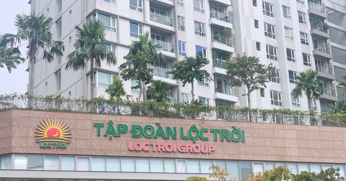 Tập đoàn Lộc Trời báo lỗ trước đại hội cổ đông - Ảnh 1