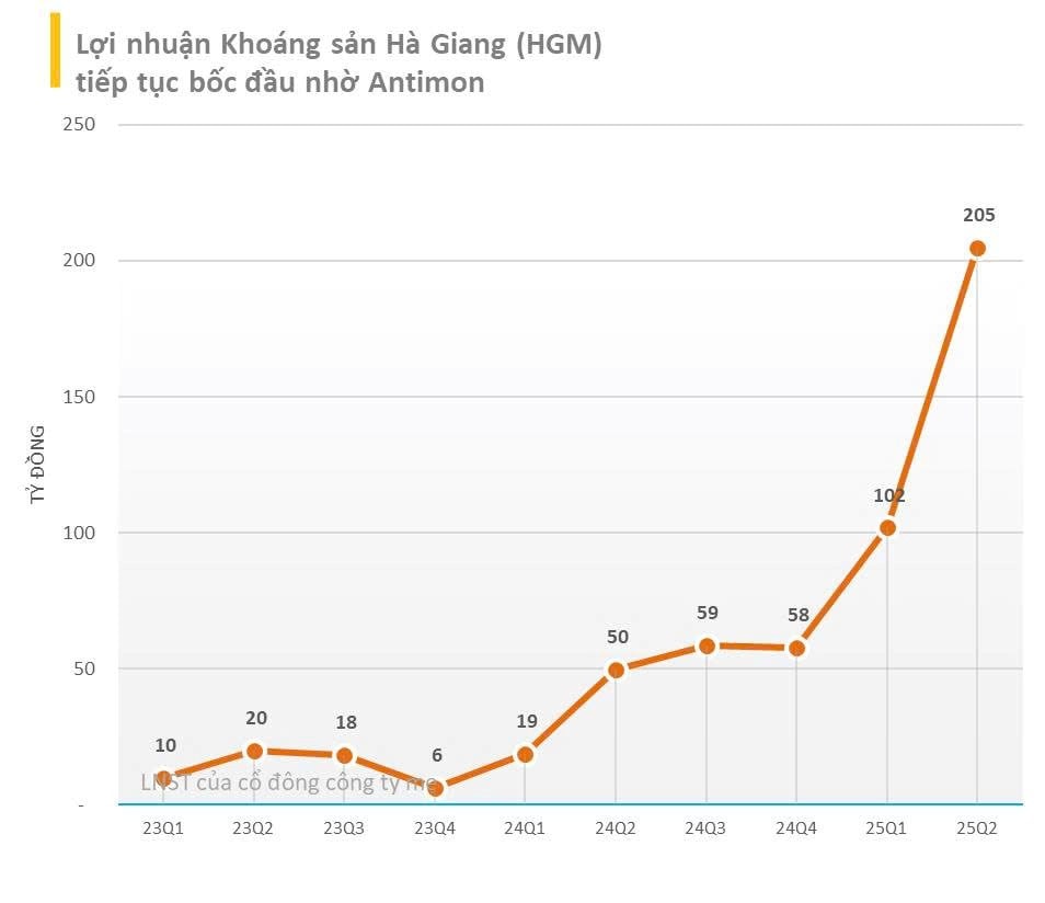 DN Việt khai thác loại khoáng sản "1 vốn 5 lời" chuyên dùng cho quốc phòng, pin có 5 quý liên tiếp lợi nhuận tăng trưởng 3 chữ số, cổ phiếu tăng gấp 6 lần trong 1 năm - Ảnh 1