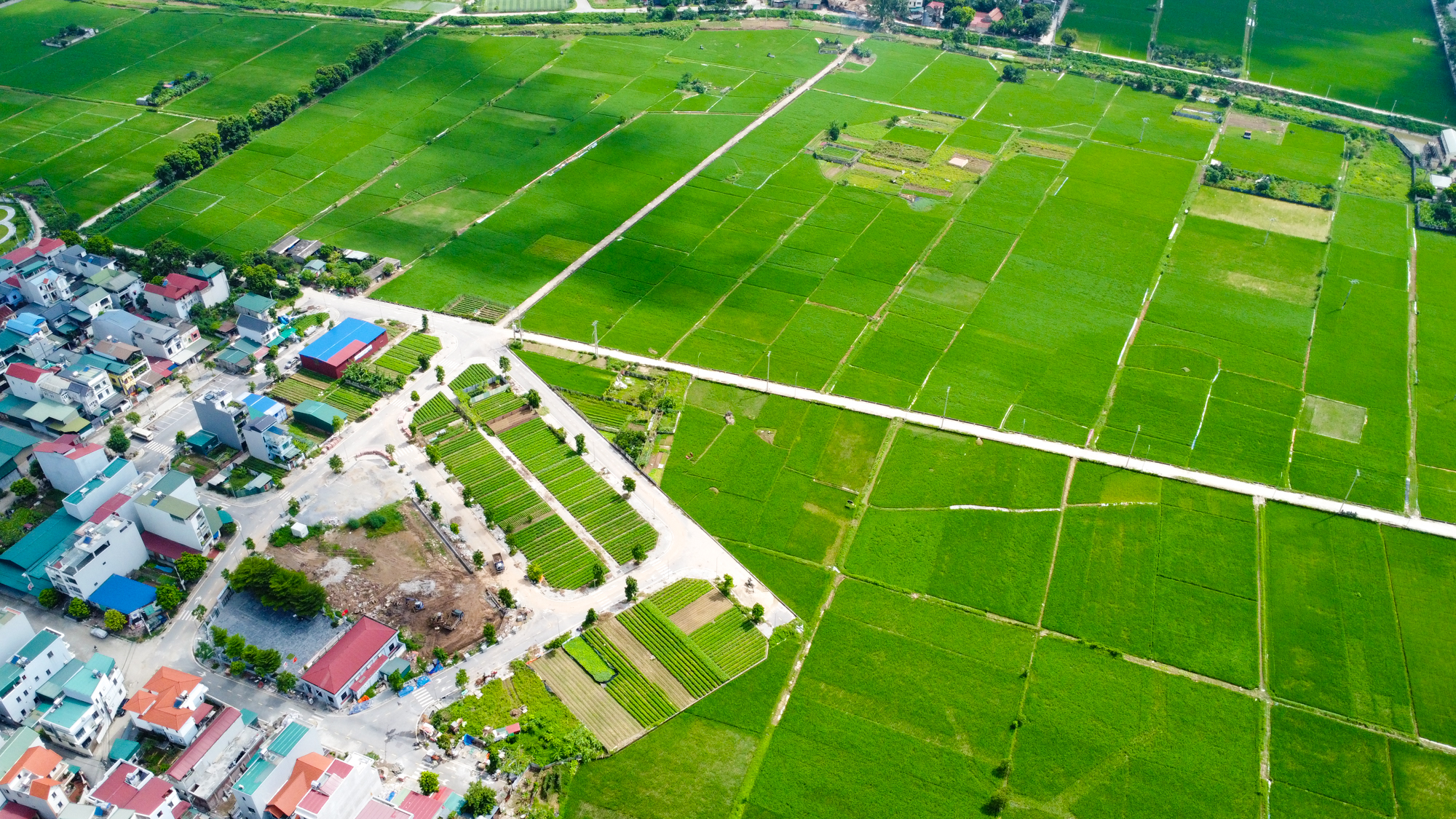 Toàn cảnh khu vực sắp làm đường nối cầu Tứ Liên với đường 71.000 tỷ, đại đô thị của Vinhomes sẽ nối thẳng với sân bay lớn nhất miền Bắc - Ảnh 9