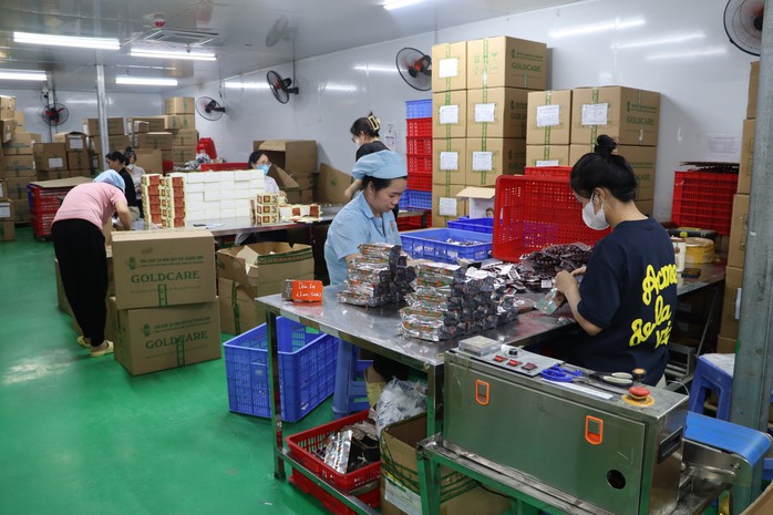 Khởi tố 2 giám đốc công ty dược phẩm - Ảnh 2