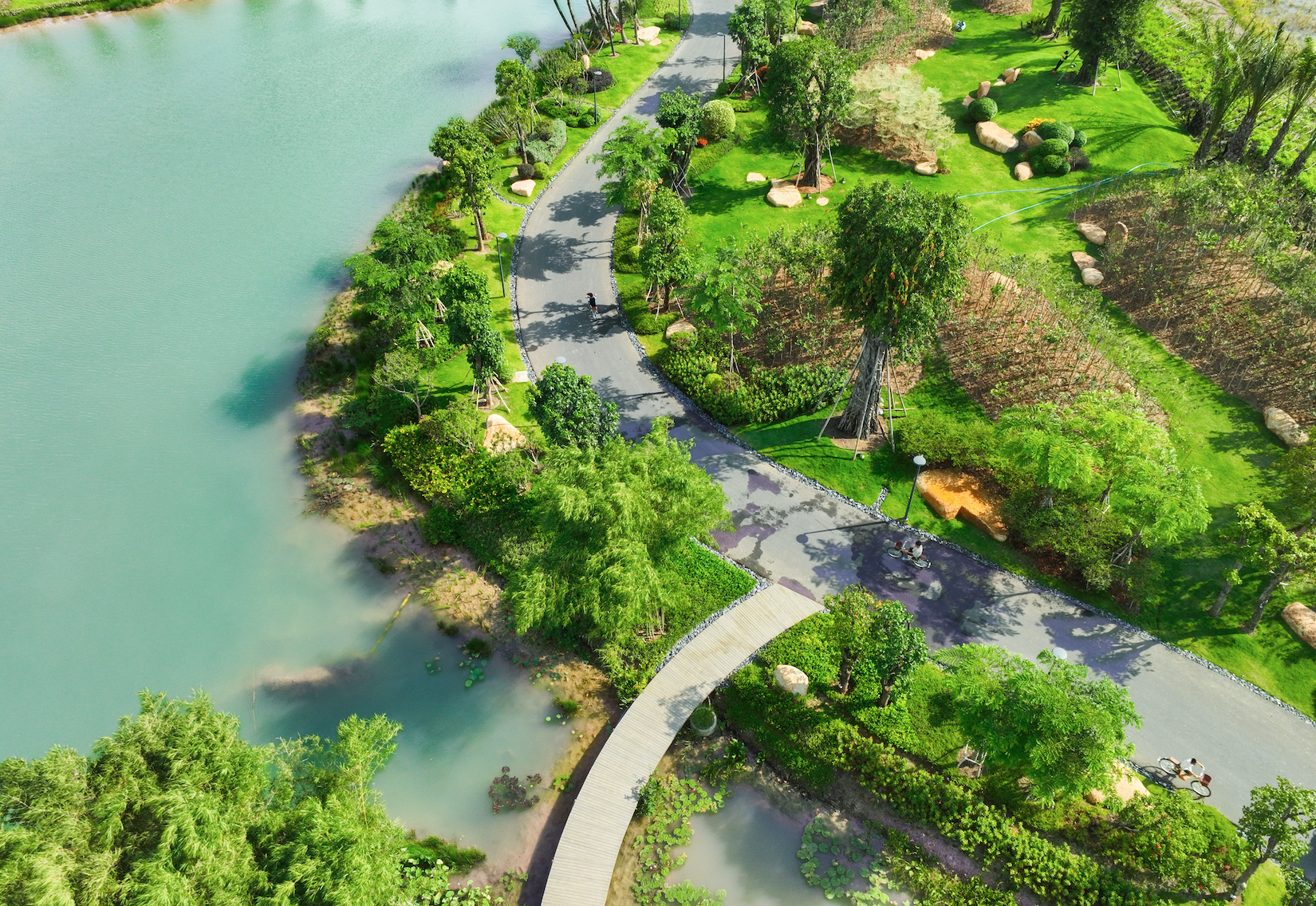 Chi 2.400 tỷ đồng cho “campus y tế” xanh đầu tiên tại Việt Nam: Có gì trong đó? - Ảnh 3