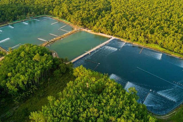 Việt Nam dẫn đầu toàn cầu về một chỉ tiêu quan trọng, là gì vậy? - Ảnh 2