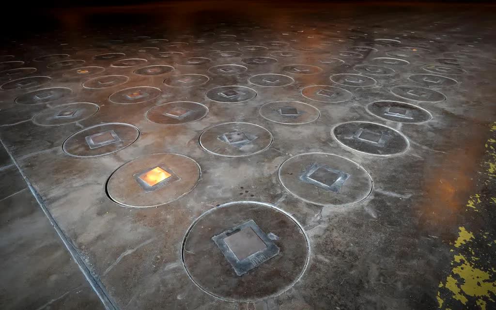 Phát hiện tổ ong bắp cày nhiễm phóng xạ tại địa điểm Mỹ từng chế tạo bom hạt nhân - Ảnh 1