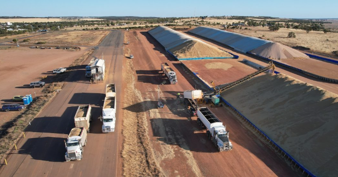 Mỹ, Canada đua nhau gửi một loại ‘báu vật’ vào Việt Nam với giá siêu rẻ: Thuế nhập khẩu 0%, nước ta tiêu thụ top đầu thế giới - Ảnh 1