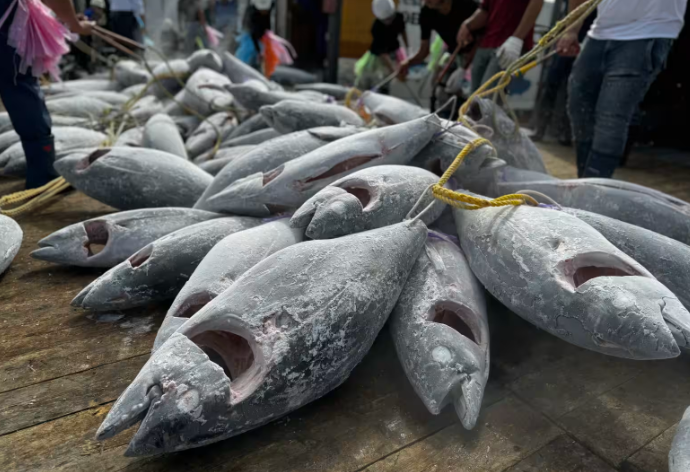 Một loại ‘siêu thực phẩm’ của Việt Nam sang Pháp đắt hàng kỷ lục: Xuất khẩu tăng 108%, 80 quốc gia khác cũng đã ‘chốt đơn’ - Ảnh 1