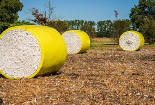 Mỹ chi hơn 10 tỷ USD mua một 'mỏ vàng' của Việt Nam từ đầu năm: Nước ta vừa vươn lên đứng thứ 2 thế giới về xuất khẩu, 132 quốc gia đã chốt đơn hàng - Ảnh 1