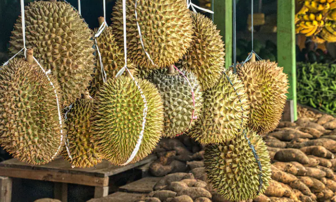 Một đối thủ sầu riêng của Việt Nam vừa bắt tay Trung Quốc thành lập liên doanh sầu riêng triệu đô: Sắp có 9 kho lạnh công suất 100.000 tấn, sở hữu đội container khủng - Ảnh 1