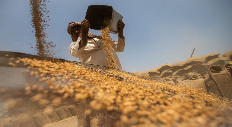 Mỹ - Nga đang đua nhau đưa một loại ‘báu vật nông sản’ vào Việt Nam: Thuế nhập khẩu 0%, nước ta đứng top ‘cá mập’ tiêu thụ của thế giới - Ảnh 1