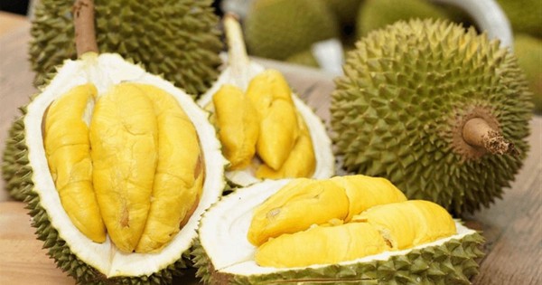 Tỷ phú Trần Bá Dương chính thức thu hoạch sầu riêng Monthong, 25-30 tấn lên kệ EMart