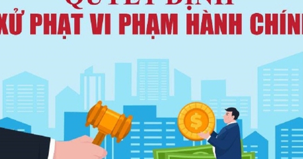 Vi phạm liên quan đất đai, môi trường, 2 công ty ở Lào Cai bị phạt hơn 700 triệu