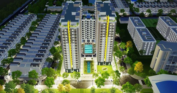 Một công ty xây dựng tăng 71% lợi nhuận nhờ BĐS và Khu công nghiệp, EPS hơn 7.000 đồng, lãi 80% từ cổ phiếu 'họ hàng'