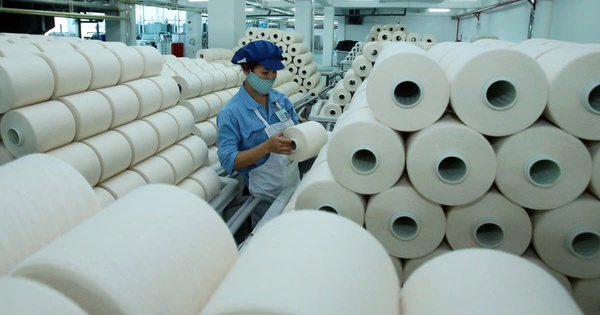 Sợi Thế Kỷ ‘ế’ 13,5 triệu cổ phiếu trong đợt chào bán riêng lẻ