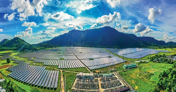 Thủ tướng chỉ đạo TP. HCM, Đồng Nai, Phú Thọ... khẩn trương hoàn thành một nhiệm vụ, báo cáo kết quả trước 25/7