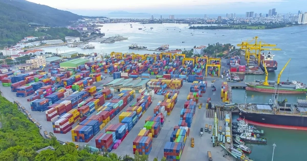 Lợi nhuận doanh nghiệp cảng biển: Kẻ thắng lớn, người ngậm ngùi