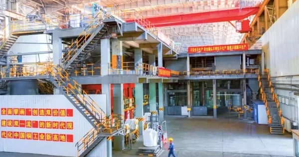Dư luận Trung Quốc sôi sục vụ 6 sinh viên chết trong bể tuyển vàng