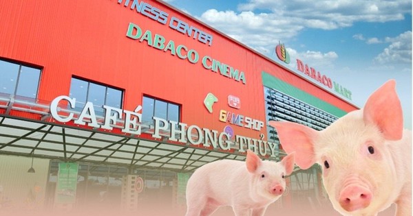 Vaccine bảo hộ hiệu quả giữa bão dịch tả lợn, Dabaco (DBC) báo lãi quý 2 tăng trưởng 250%